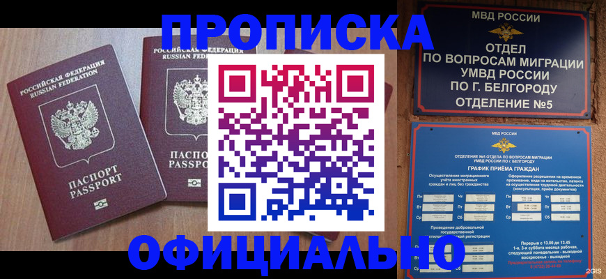 найти адрес прописки в Тереке